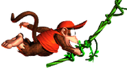 Donkey Kong Country