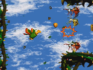 Squawk's (very infamous) Segment.