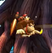 Diddy's Jet Barrel returns in Donkey Kong Country: Tropical Freeze.