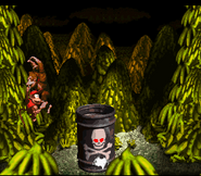 Dumb Drum crashing on the ground as seen in the game Donkey Kong Country for SNES.