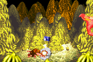 A hidden Necky's photograph of the Scrapbook revealed by Donkey Kong using his Hand Slap move, as seen in the game Donkey Kong Country for GBA.