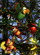 Artwork of Diddy and Dixie Kong hanging onto Squawks in the brambles, reaching for a life balloon and bananas.