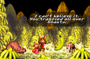 Cranky Kong talking to Donkey and Diddy Kong after they have defeated Very Gnawty, as seen in the game Donkey Kong Country for GBA.