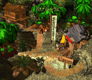 Jungle Hijinxs in the Japanese version's overworld.