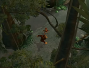 Donkey and Diddy Kong inside the Forbidden Forest as seen in the first season of the Donkey Kong Country animated series.