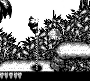 Donkey Kong climbing on an ascending rope for accessing Bonus Rooms, as seen in the game Donkey Kong Land for Game Boy.