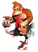 Donkey Kong Country