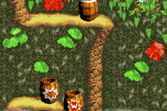 Warp Barrel as seen in the game Donkey Kong Country for GBA.