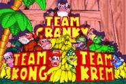 Selecting a team in Diddy Kong Pilot.