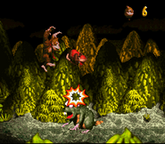 The Kongs harming Very Gnawty, as seen in the game Donkey Kong Country for SFC/SNES.