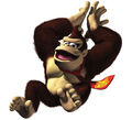 DK Donkey Kong