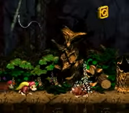 The location of the "O" of the K-O-N-G Letters, as seen in the game Donkey Kong Country 2: Diddy's Kong Quest for SFC/SNES.