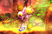 The DK Coin in the GBA remake.
