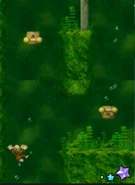 The levers in the fifth section.