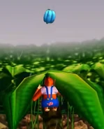 Blue Bananas in the Jungle.png (259 KB) A blue Banana Bunch in Jungle Japes.