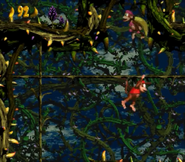 Diddy and Dixie Kong moving between vertical and horizontal vines inside a bramble stage, as seen in the game Donkey Kong Country 2: Diddy's Kong Quest for SNES.