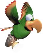 Artwork of Squawks the Parrot.