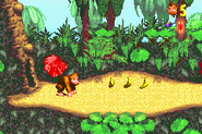 Donkey Kong next to his Banana Hoard cave's entrance.