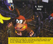 Description of the K. Rool's Keep in the Donkey Kong Country 2: Diddy's Kong Quest Instruction Booklet.[2]