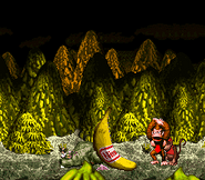 Donkey Kong celebrating the victory over Very Gnawty, as seen in the game Donkey Kong Country for SFC/SNES.