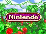 Nintendo