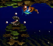 Diddy and Donkey Kong, alongside Enguarde the Swordfish, nearby a Clambo spitting pearls at three directions, as seen in the game Donkey Kong Country for SNES.