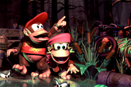 Group dkc2 06