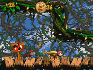 The Kongs obtain the Bonus Coin and win the Bonus level.