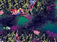 Nibbla bites Dixie after he turns red.