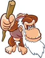 Cranky Kong
