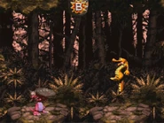 Koindozer Klamber Enemies.png (1.06 MB) A bouncing Re-Koil and a Koindozer standing underneath a Bonus Barrel.