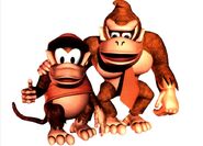 Donkey Kong Country