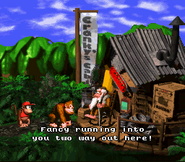 Exterior of the Cranky's Cabin as seen in the game Donkey Kong Country for SNES.