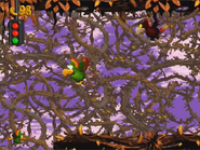 Squawks about to race Screech in Donkey Kong Country 2: Diddy's Kong Quest.