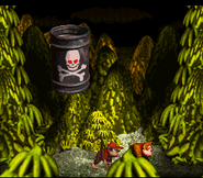 Dumb Drum about to crash on the ground as seen in the game Donkey Kong Country for SNES.