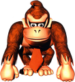 Donkey Kong Country