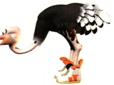 Expresso the Ostrich