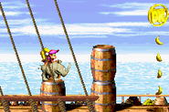 The location of Pirate Panic's DK Coin.