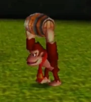 Donkey carrying a Barrel as part of his training.