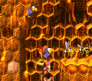 Two Quawks the Parrots as seen in the stage Parrot Chute Panic (SFC/SNES version).