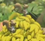 Untitled20120116143737.png (35 KB) Hypnotized squirrels stealing Donkey's and Diddy Kong's banana hoard.