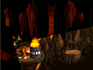 Squawks makes his only appearance in Donkey Kong Country here.
