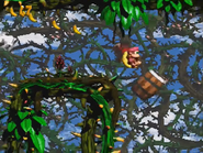 Diddy and Dixie firing themselves into a Barrel Cannon.