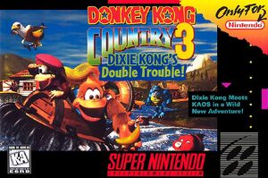 DKC3 Cover