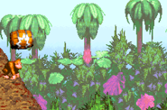 An autofire barrel as seen in the game Donkey Kong Country for GBA.