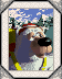 Blizzard-photo.gif