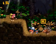 The location of the "K" of the K-O-N-G Letters, as seen in the game Donkey Kong Country 2: Diddy's Kong Quest for SFC/SNES.