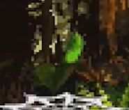 Green Banana in Jungle.png (49 KB) A green banana floating above a web platform in Stampede Sprint.
