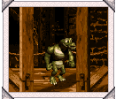 In Dixie Kong's Photo Album.