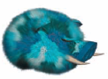 1D57EE26-3790-4FCD-BF93-AD2ABFB44939.png